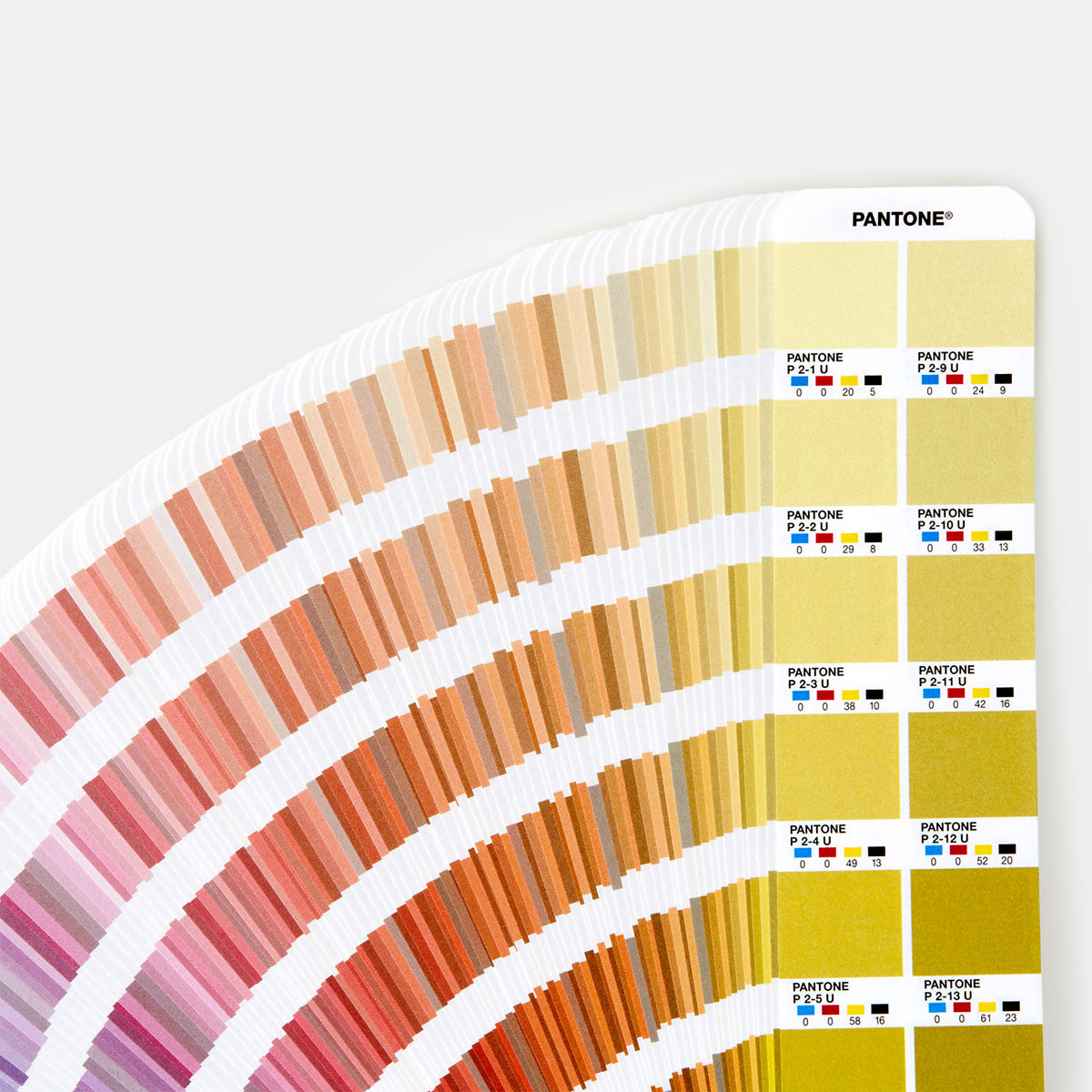GRAPHICS + PRINT + MEDIA - Process Colors CMYK Coated & Uncoated